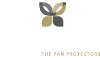 papillon-logo-600x350-retina-white
